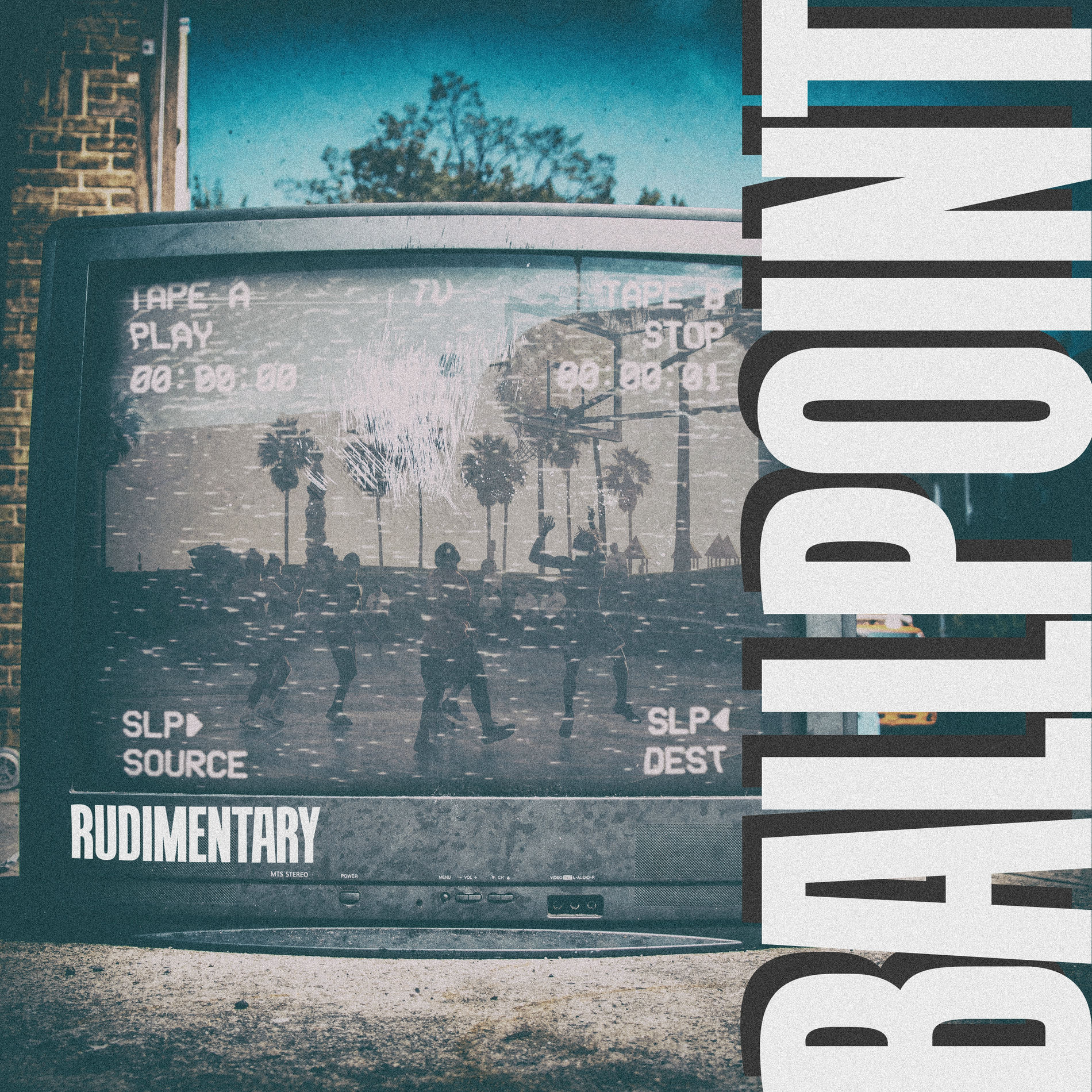 Album cover of Rudimentary