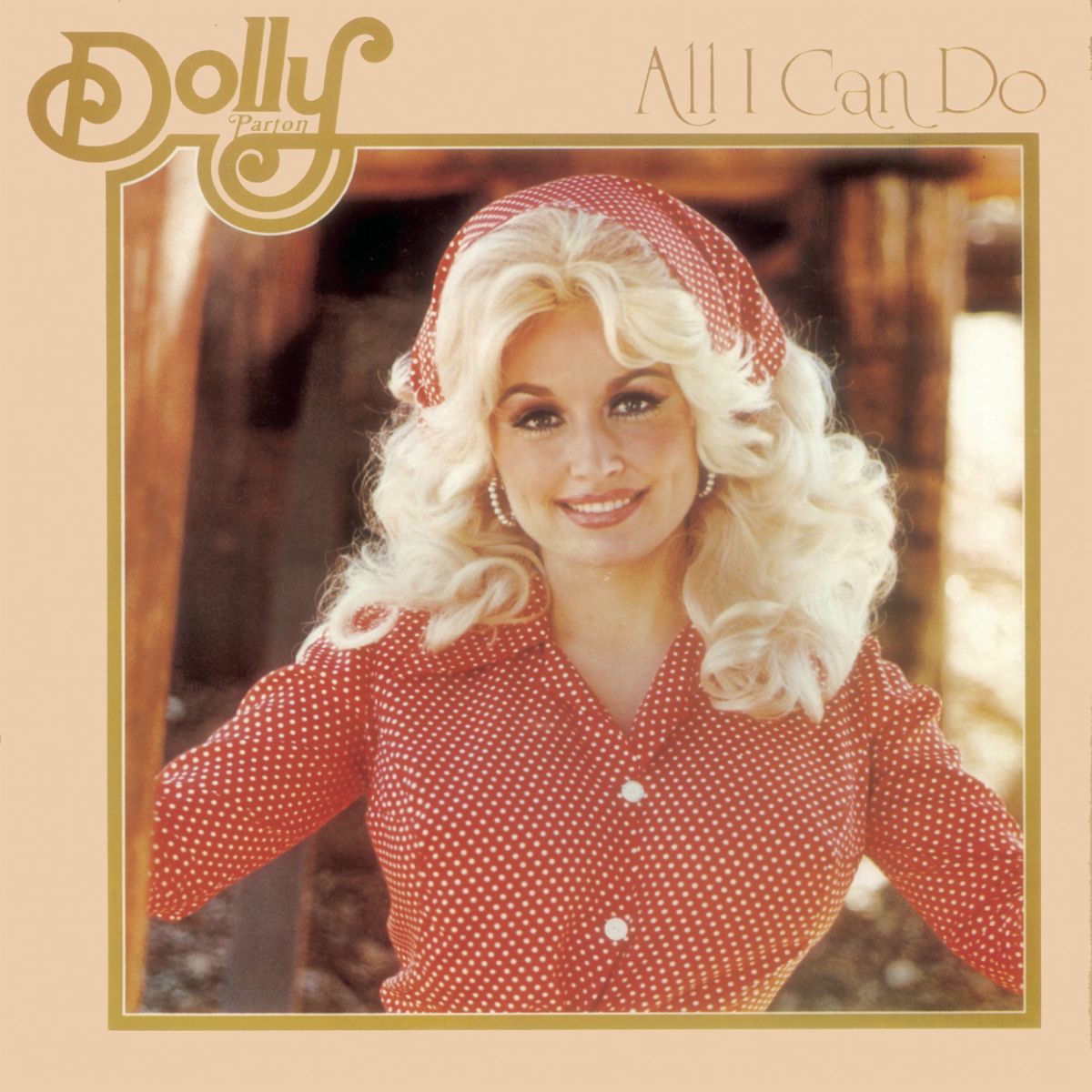 Album cover of All I Can Do