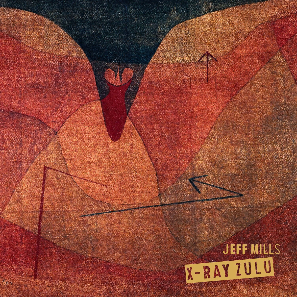 Album cover of X-Ray Zulu