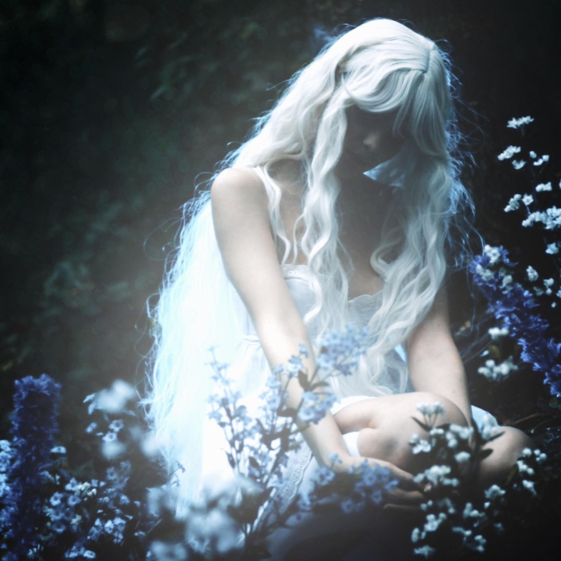 Album cover of Rain Dance