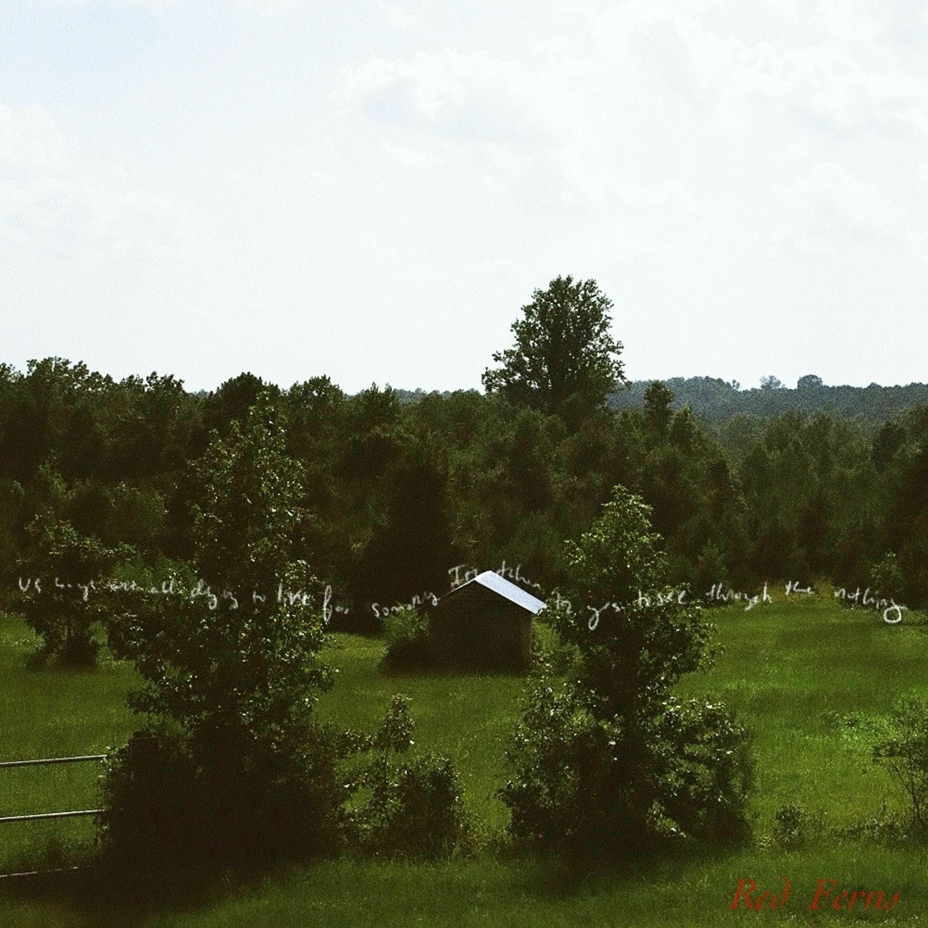 Album cover of Red Ferns
