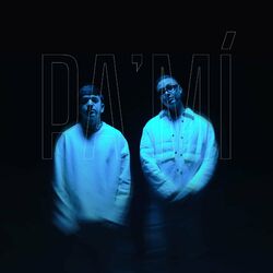 Cover of Pa' Mi