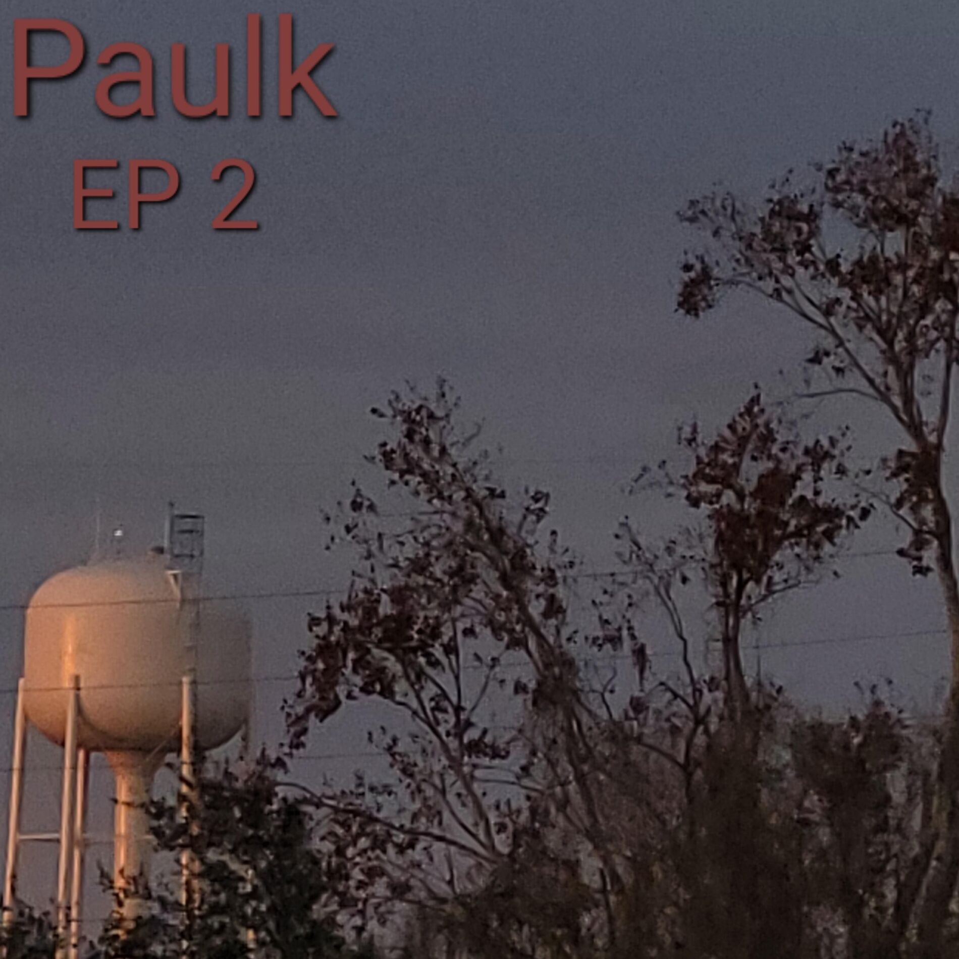 Album cover of Paulk EP 2