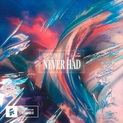 Cover of Never Had