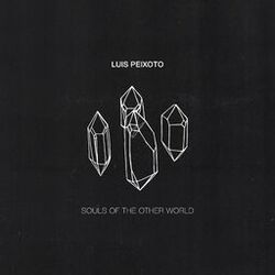 Cover of Souls of The Other World