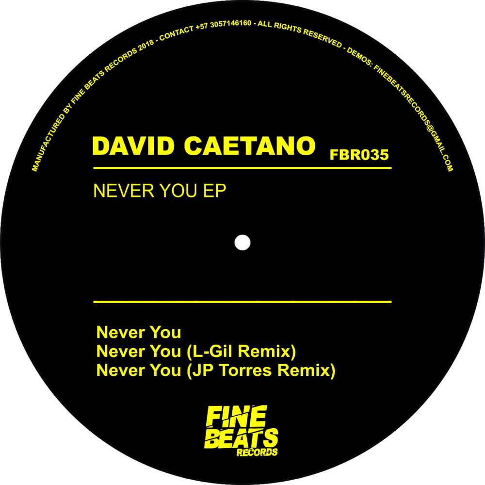 Picture of Never You EP
