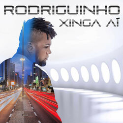 Cover of Xinga Aí