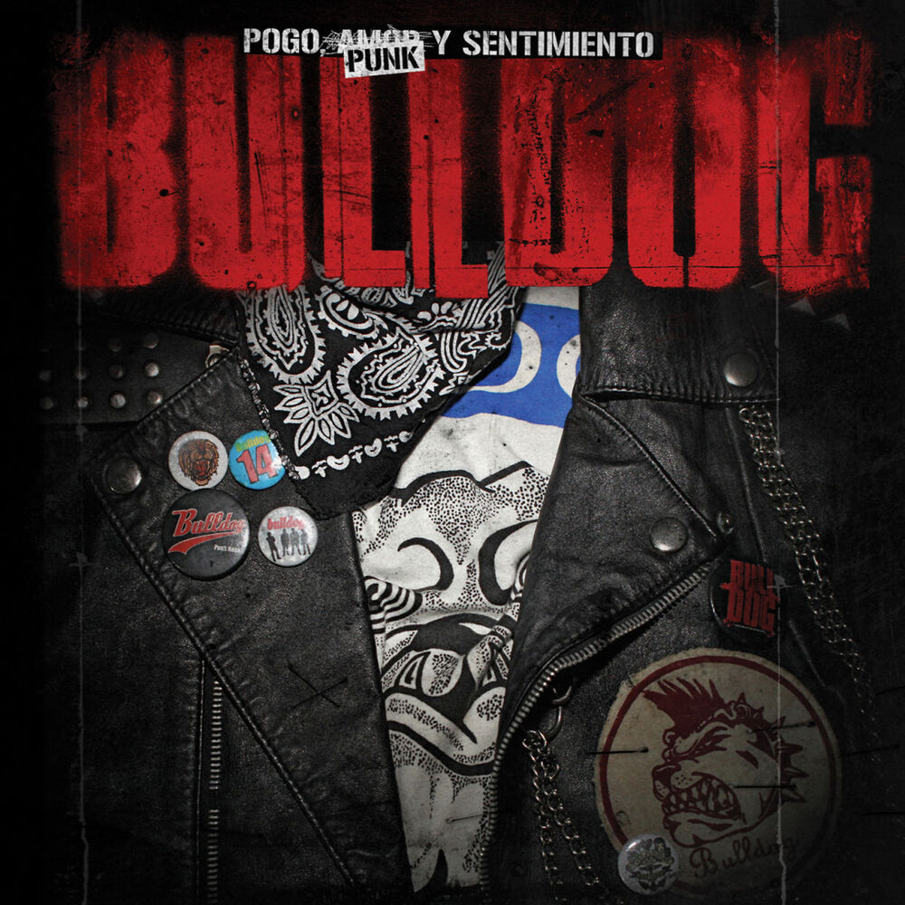 Picture of Pogo, Punk Y Sentimiento