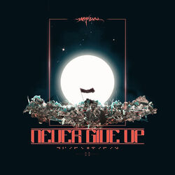 Cover of Never Give Up