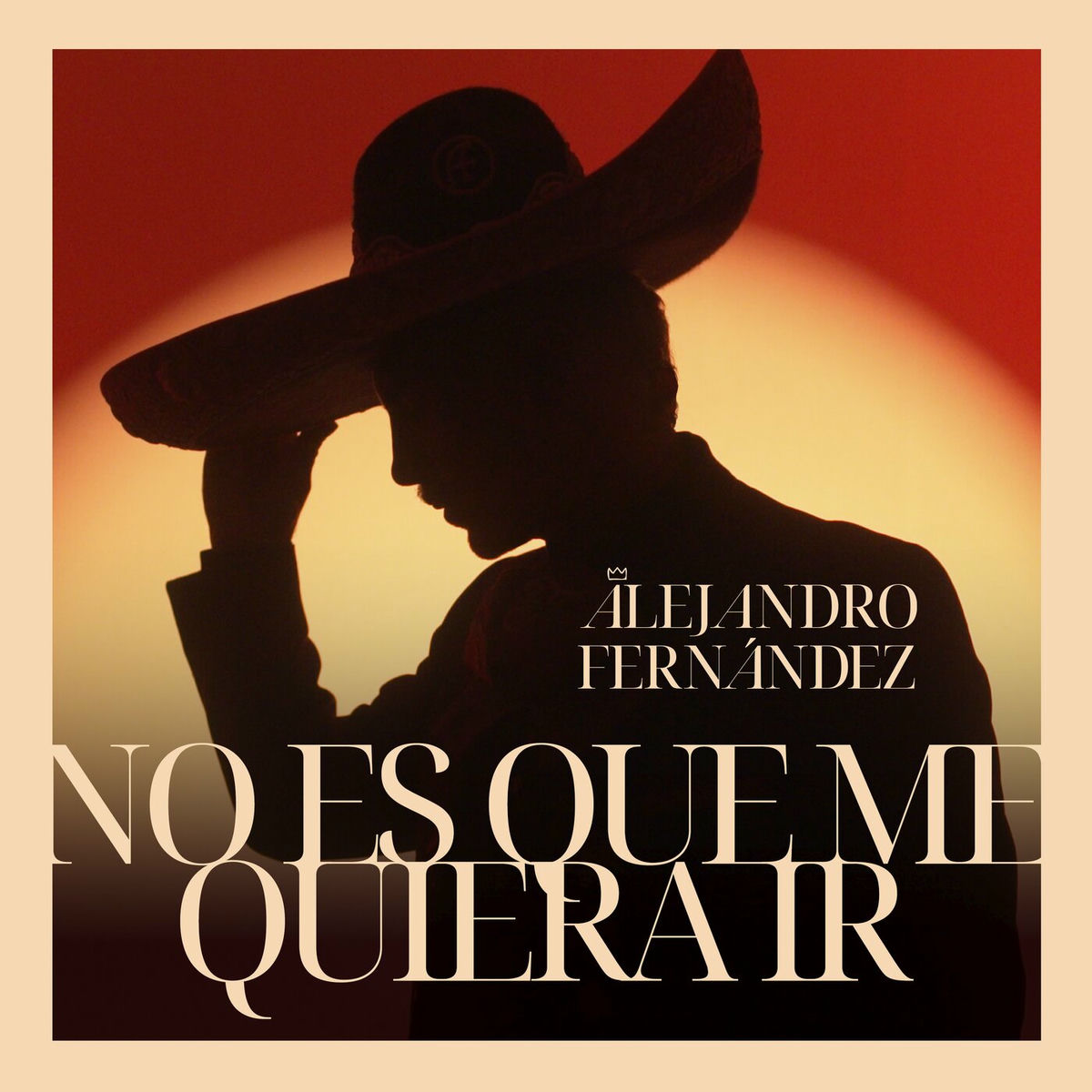Album cover of No Es Que Me Quiera Ir