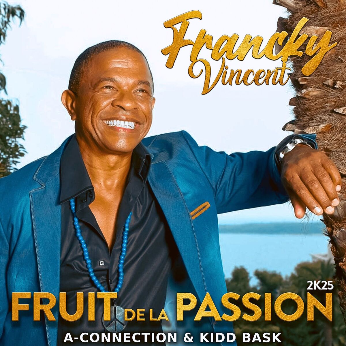 Album cover of Fruit de la Passion 2K25