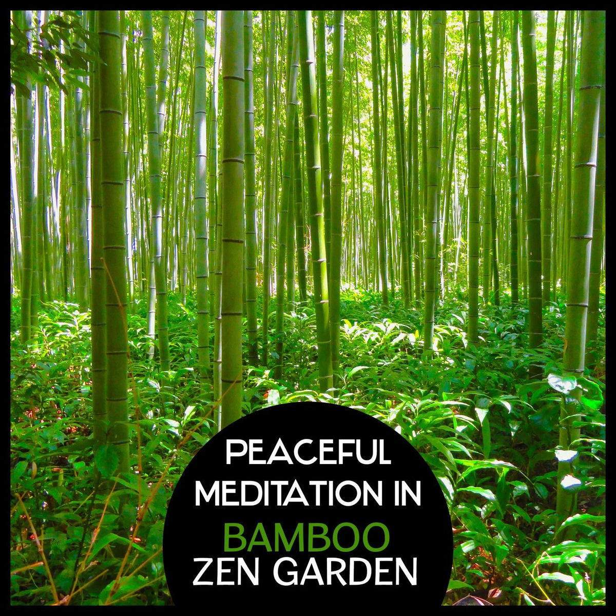 Album cover of Celestial Experience – Zen Buddhism