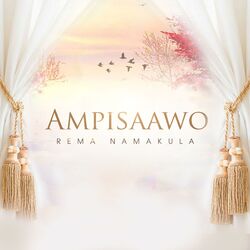 Cover of Ampisaawo