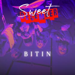 Cover of Bitin