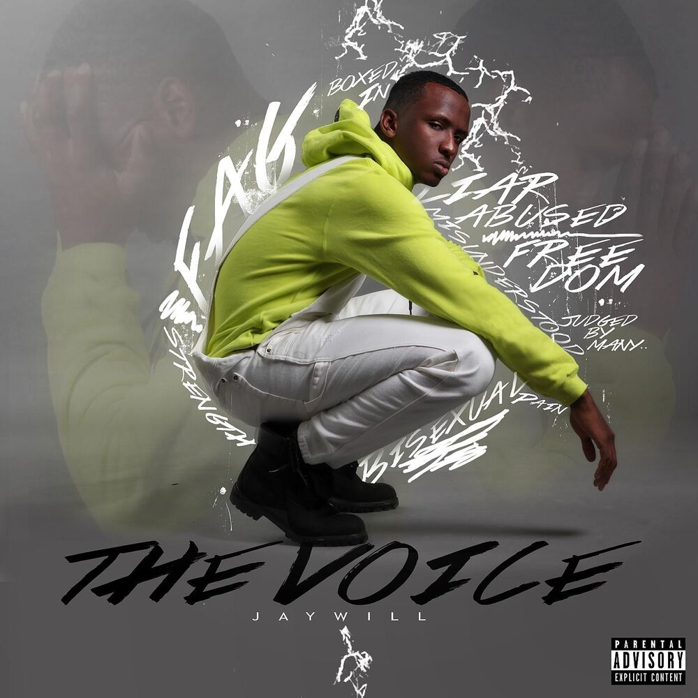 Picture of The Voice