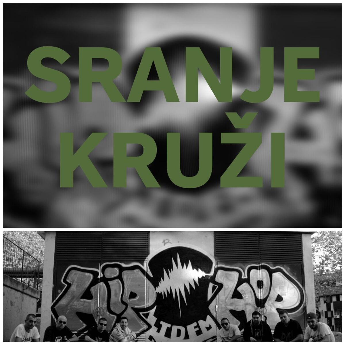 Album cover of Sranje Kruži