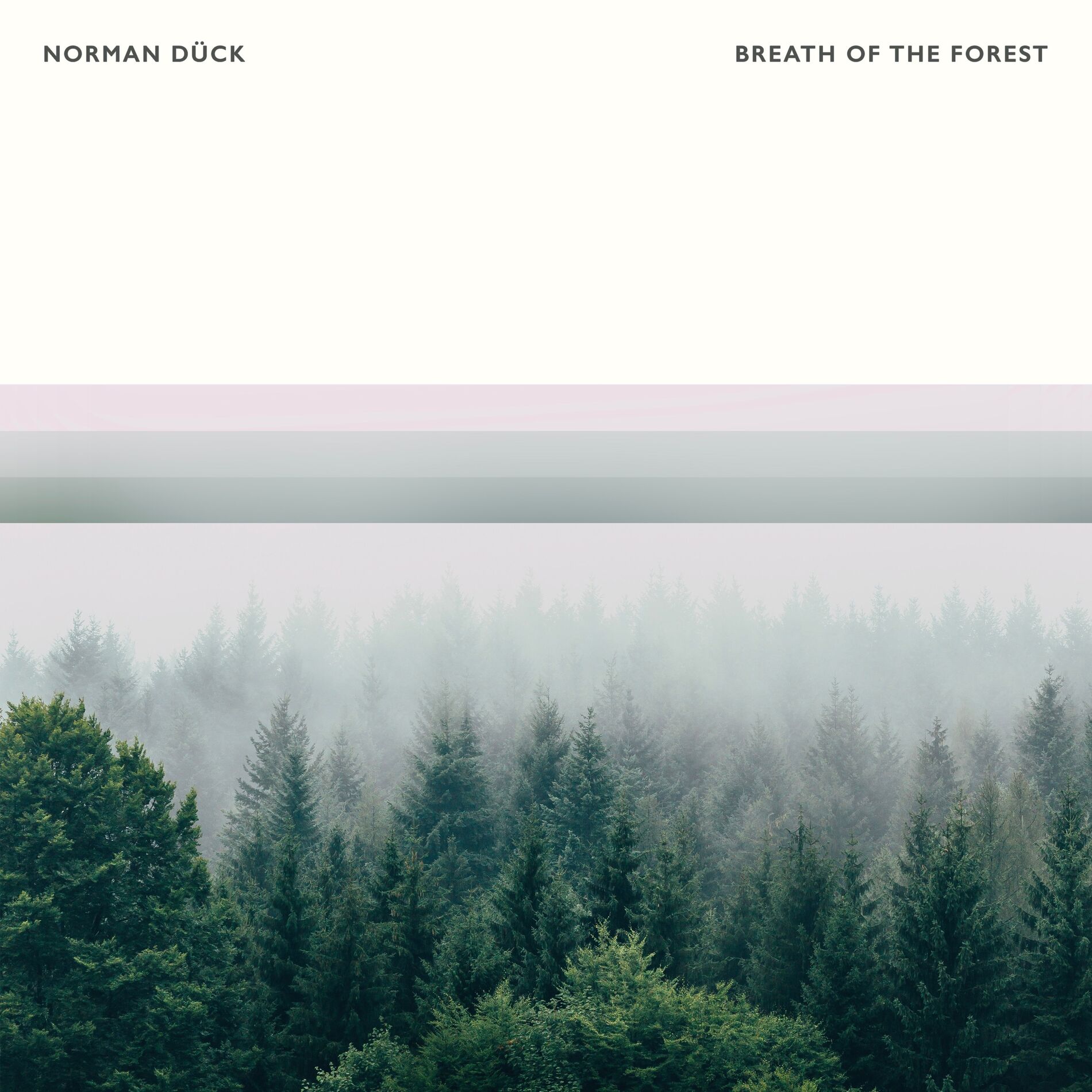 Album cover of Breath Of The Forest