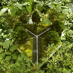 Cover of Y