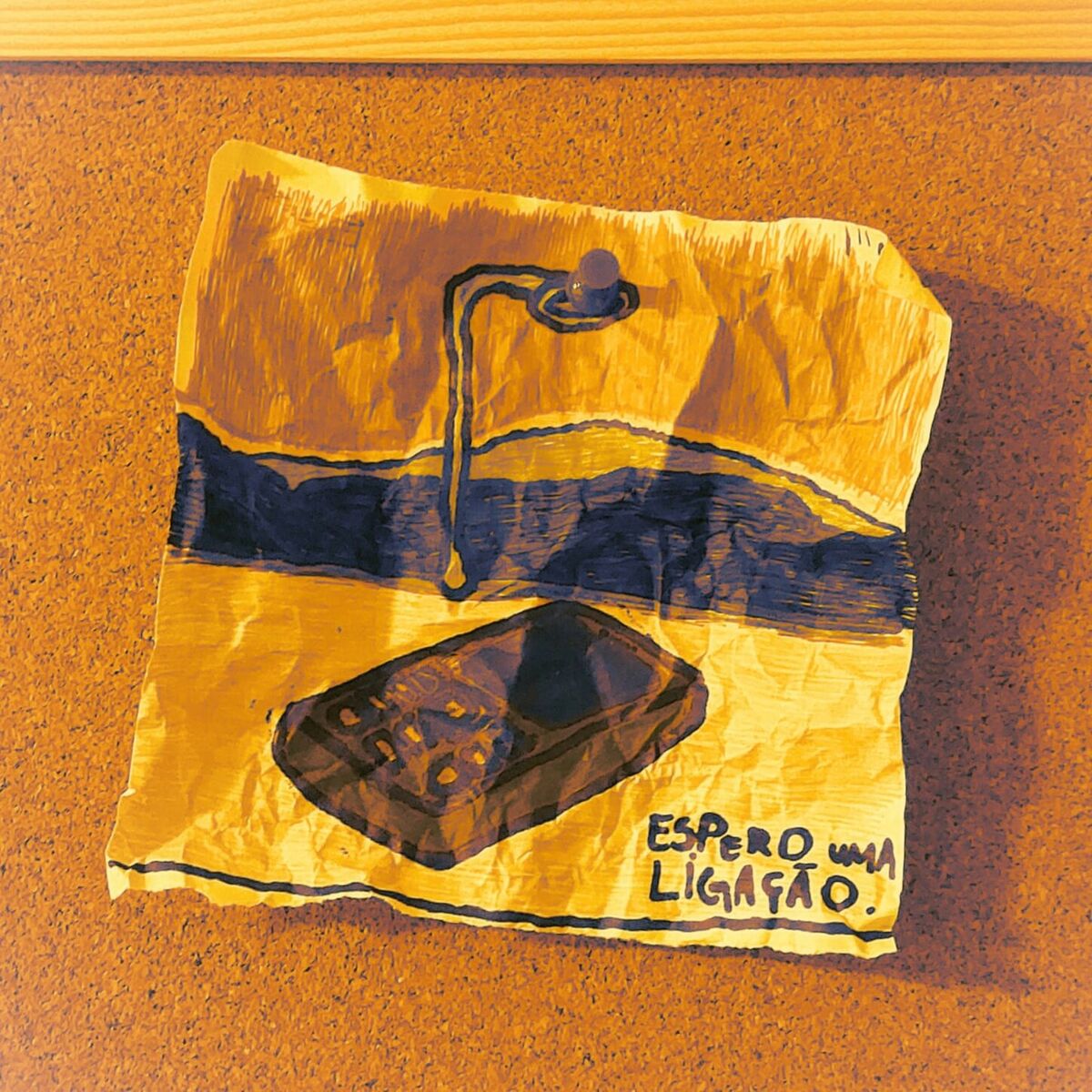 Album cover of Espero Uma Ligação