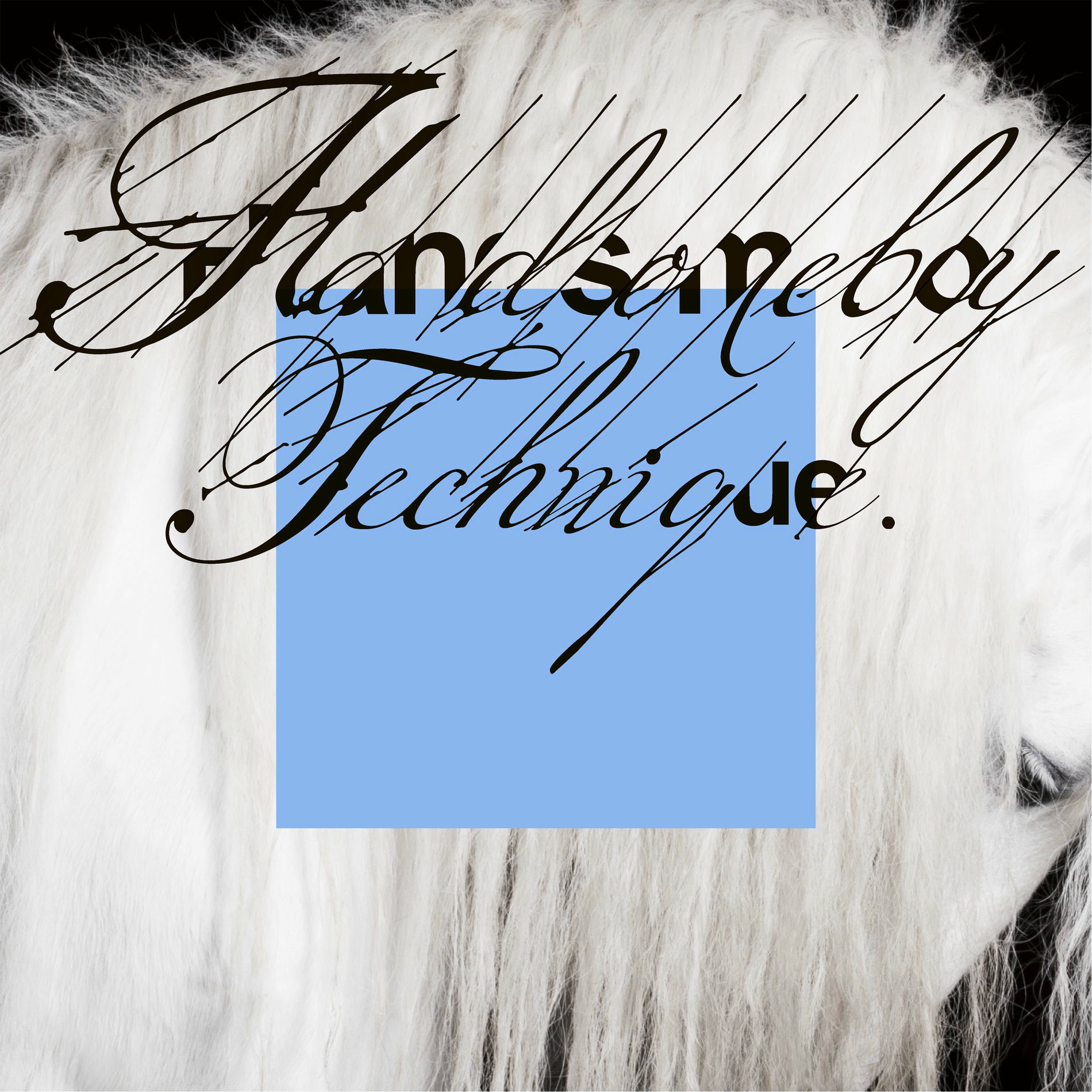 HANDSOMEBOY TECHNIQUE - Adelie Land | Deezer
