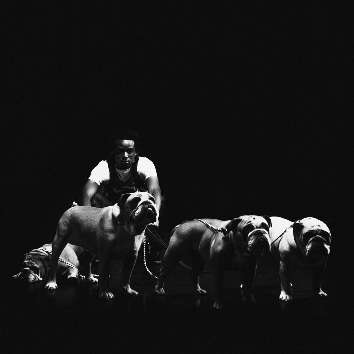 Album cover of 4BULLDOG