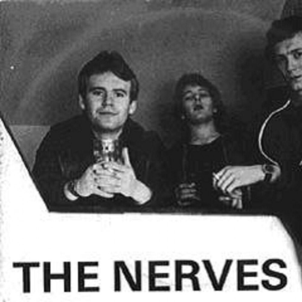 Picture of The Nerves