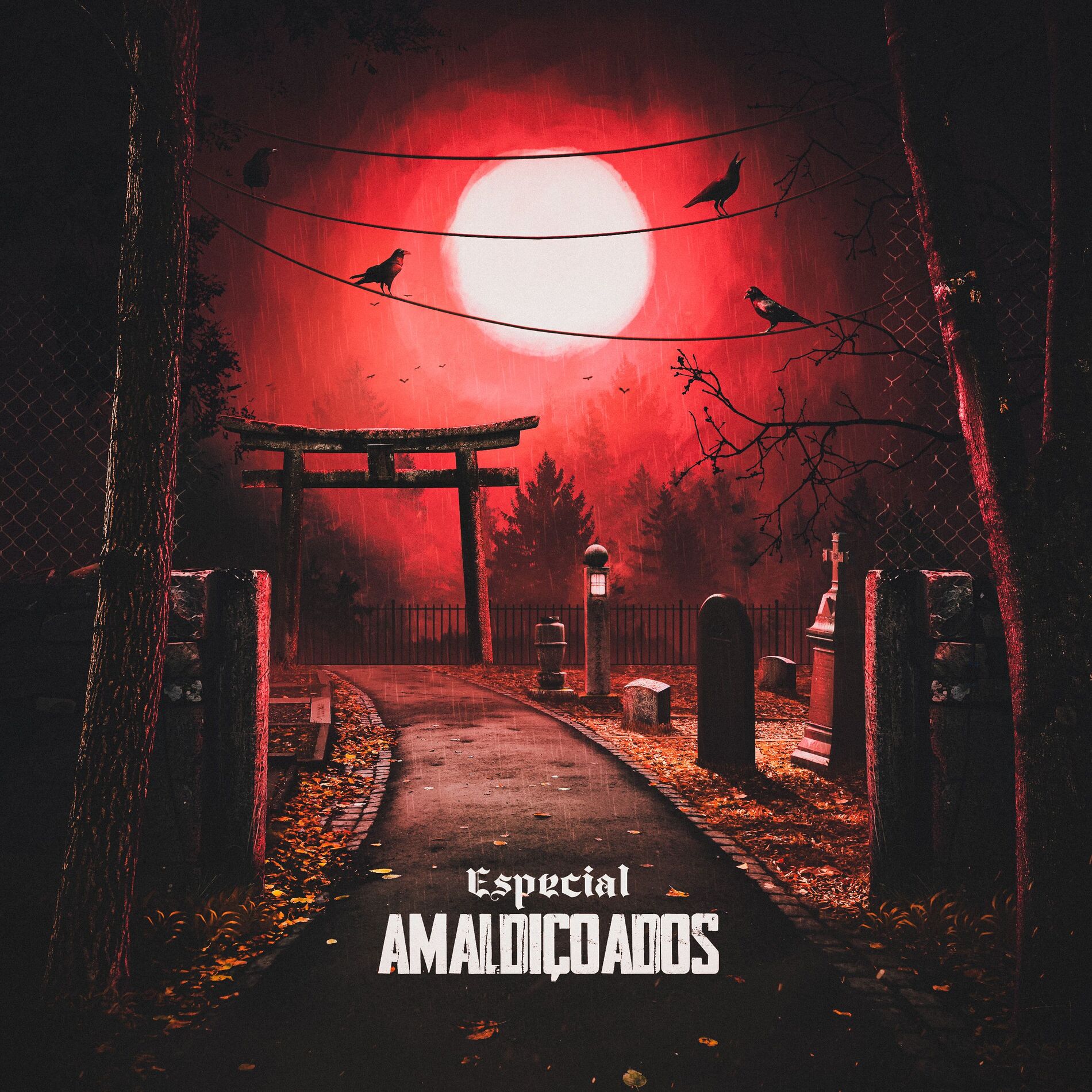 Album cover of Amaldiçoados