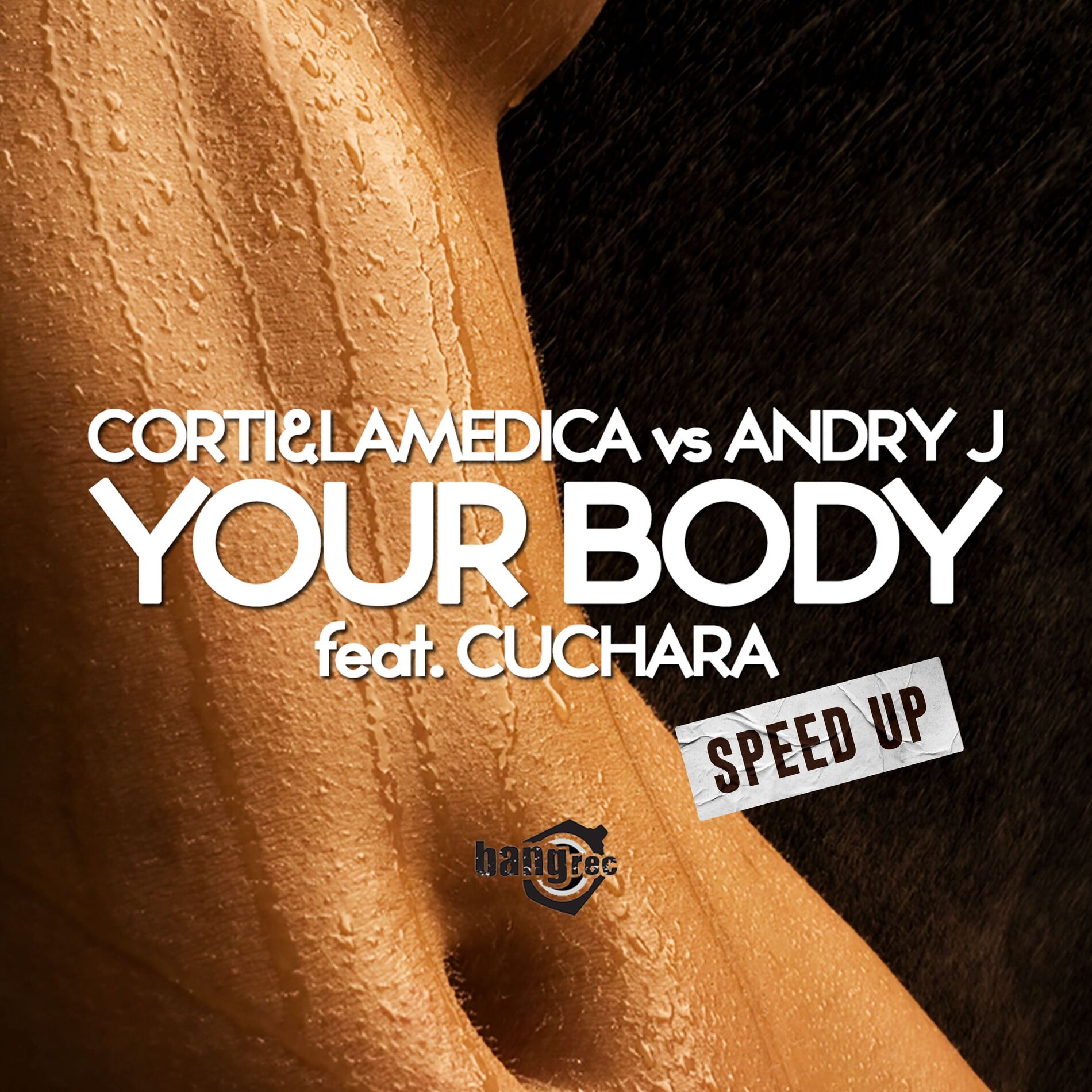 Album cover of Your Body
