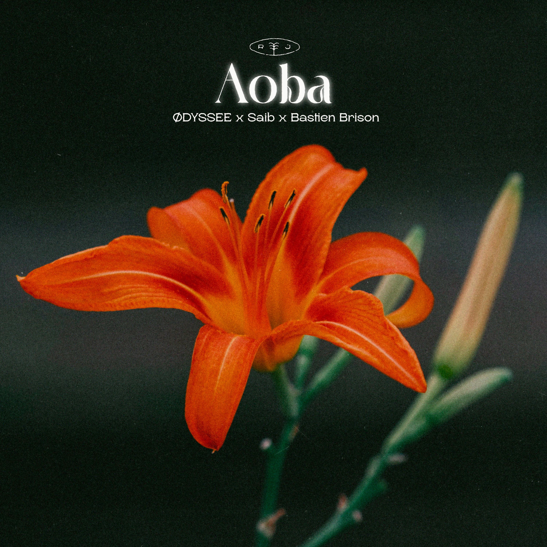 Album cover of Aoba