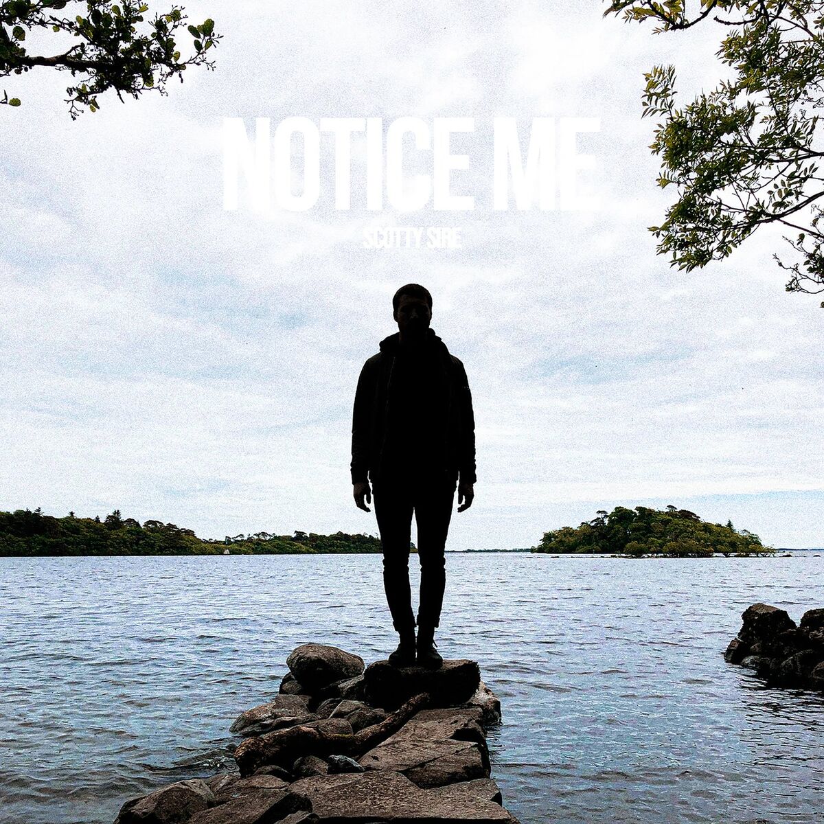 Album cover of Notice Me