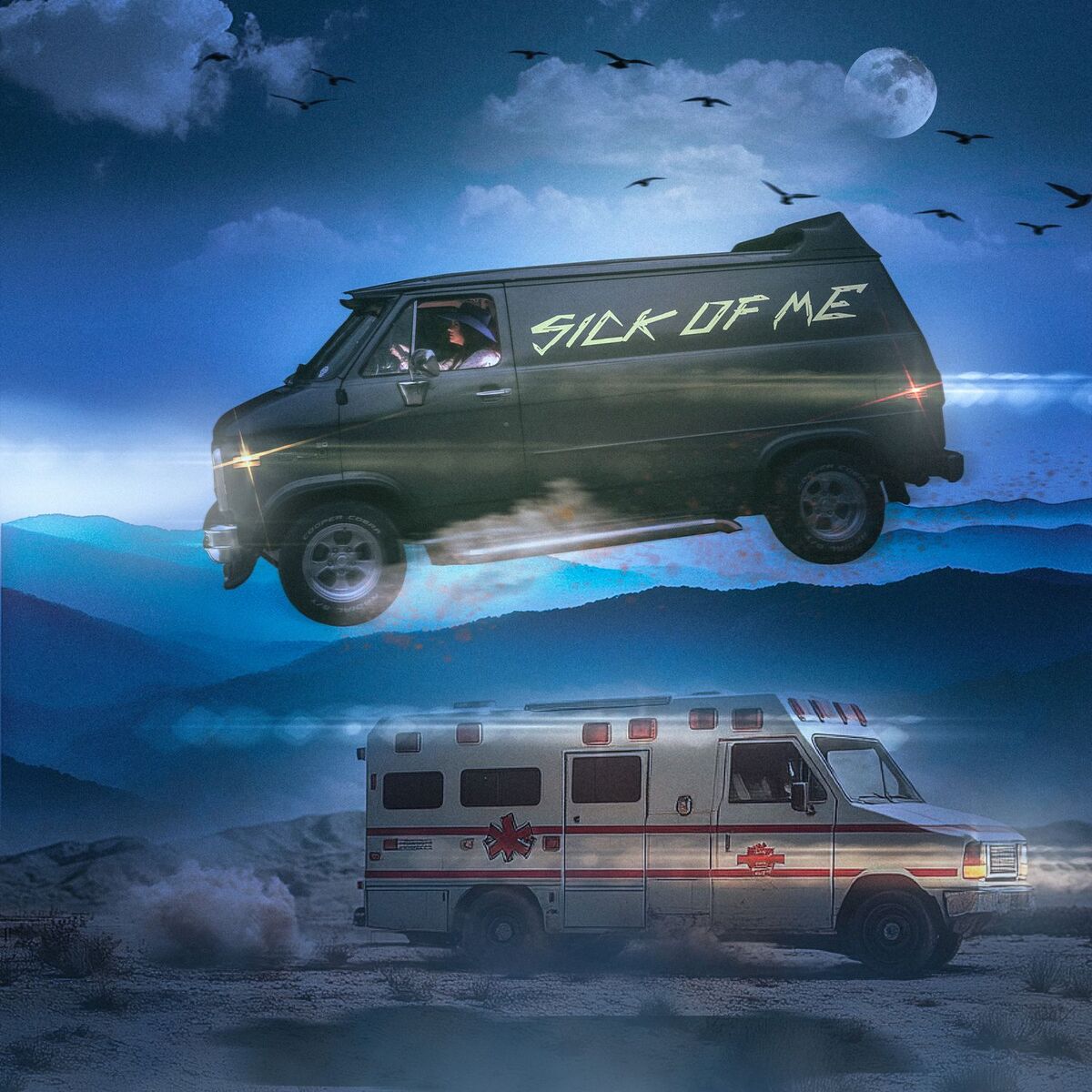 Album cover of Sick Of Me