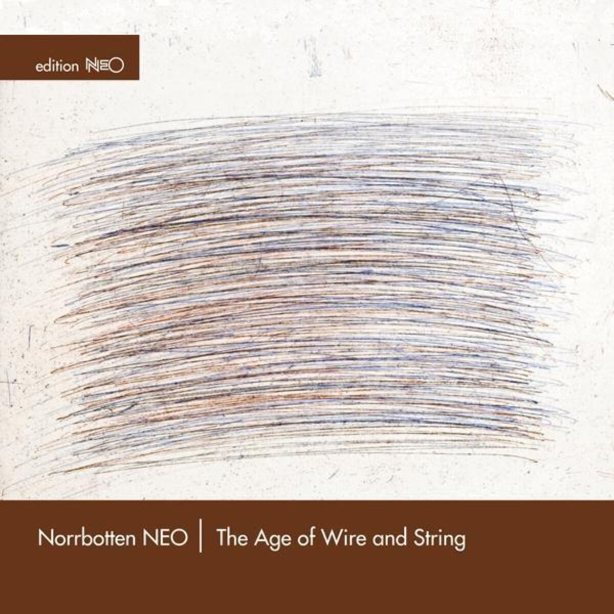 Album cover of The Age of Wire and String