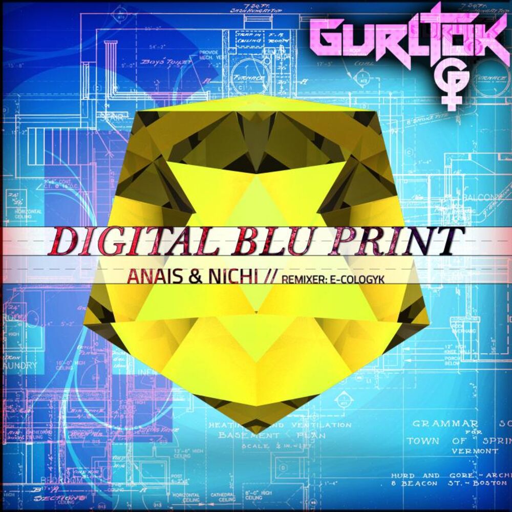 Picture of Digital Blu Print
