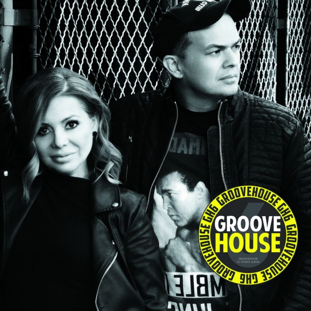 Picture of Groovehouse 6