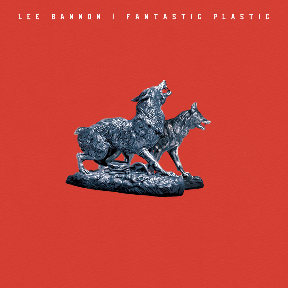 Picture of Fantastic Plastic