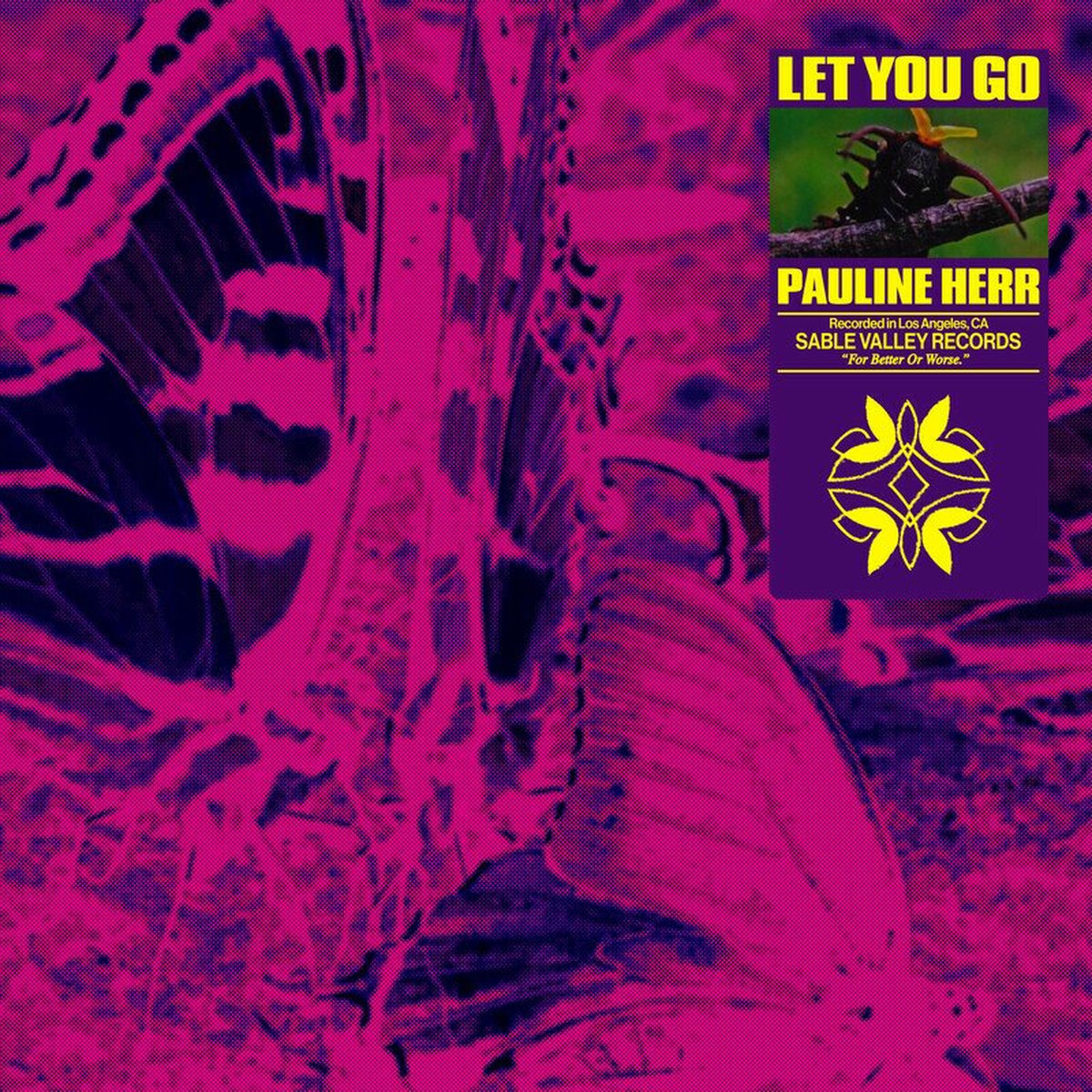 Album cover of Let You Go