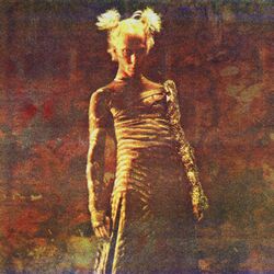 Cover of Drone