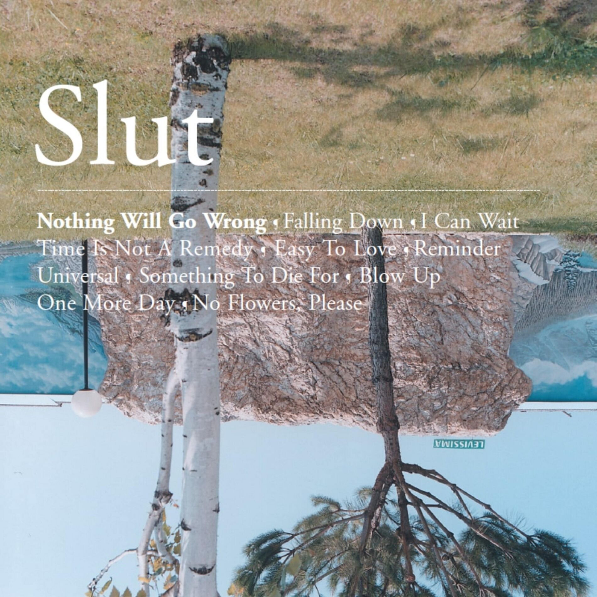 Album cover of Nothing Will Go Wrong