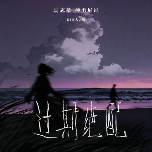 过期绝配 (DJ豪大大版)