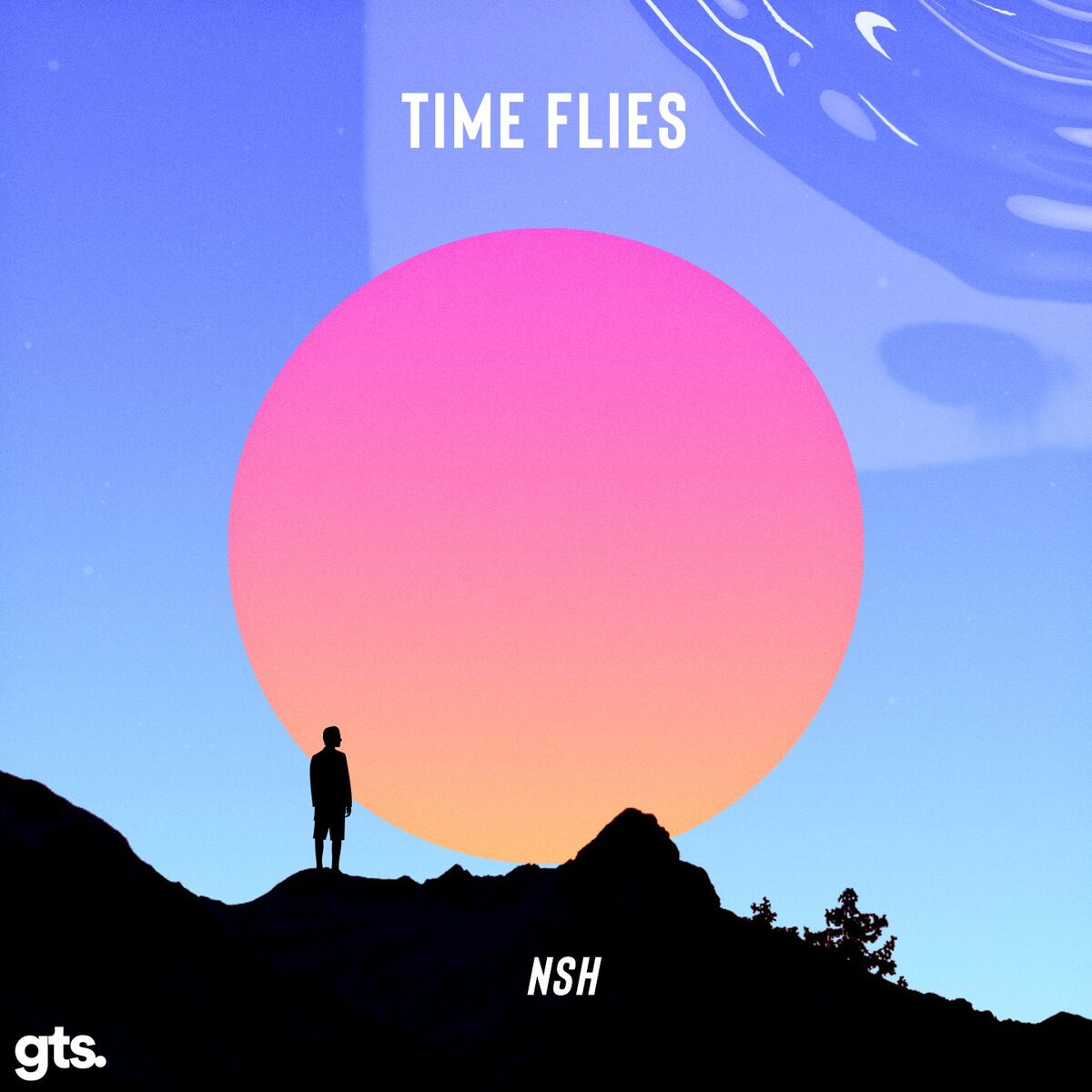 Album cover of Time Flies