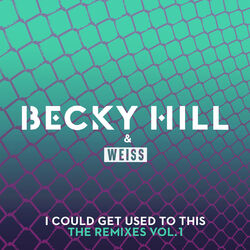 Cover of I Could Get Used To This (The Remixes / Vol. 1)