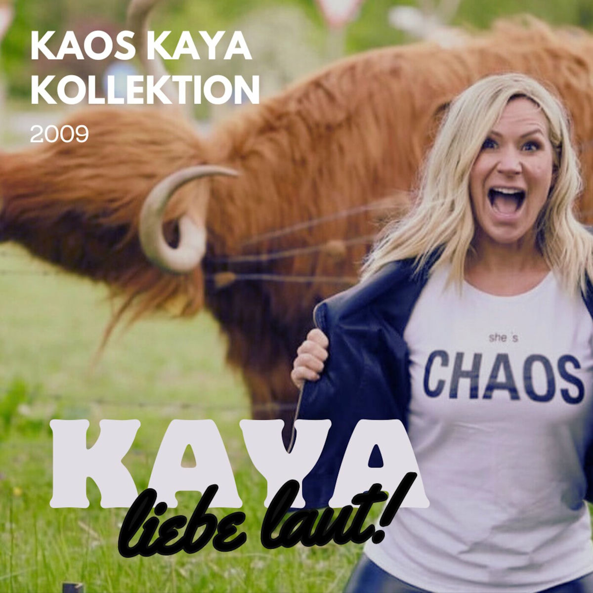 Album cover of Liebe Laut (Kaos Kaya Kollektion 2009)