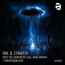 Cover of Into The Darkness