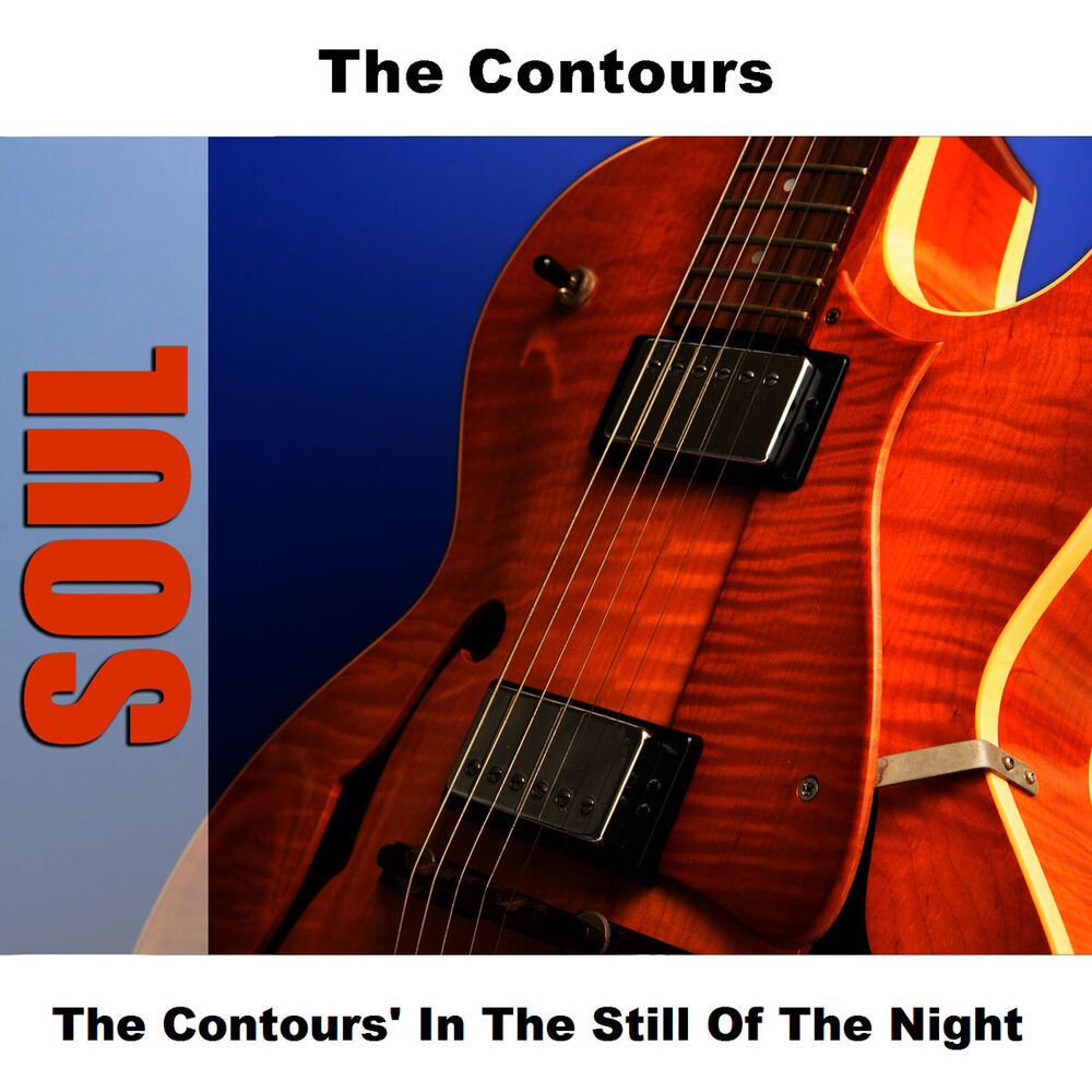 Picture of The Contours' In The Still Of The Night