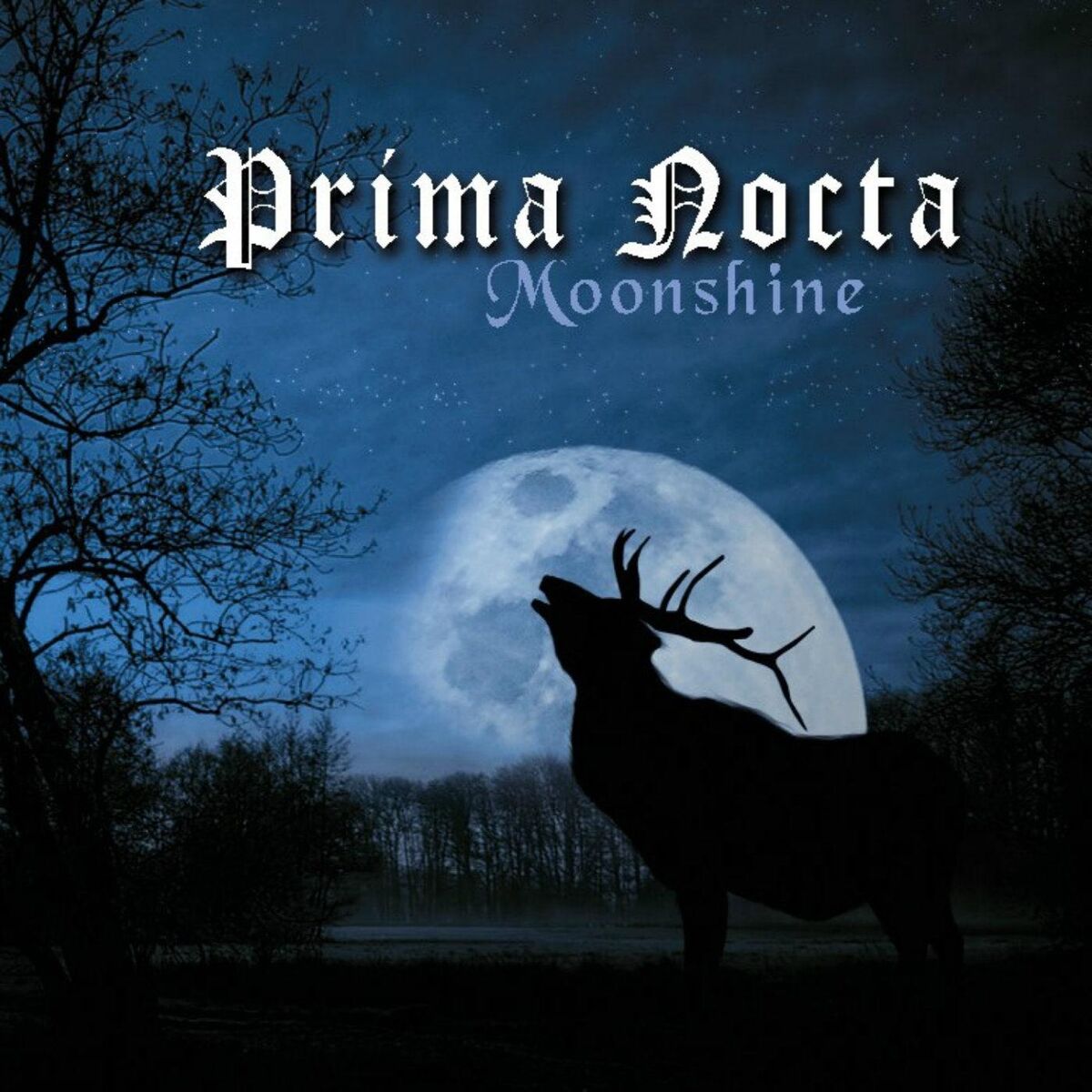 Album cover of Ötzi