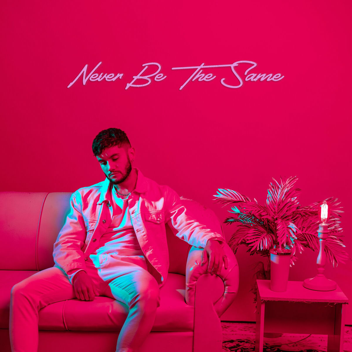 Album cover of Never Be the Same