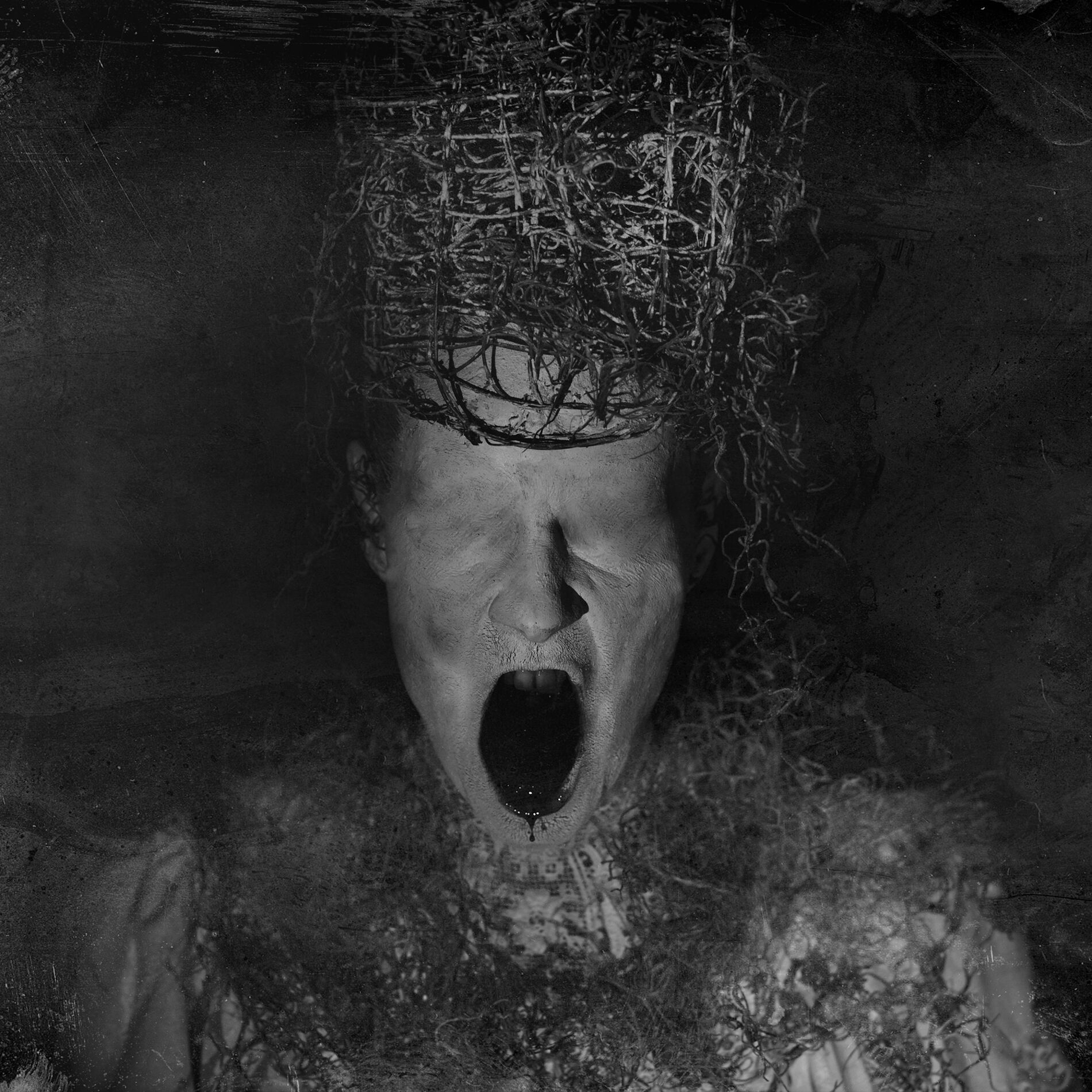 Album cover of Devour Me