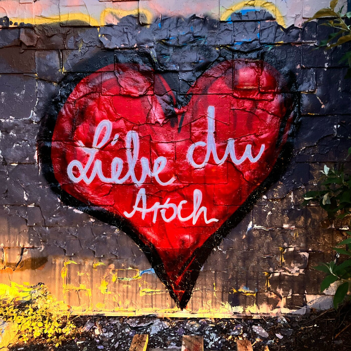 Album cover of Liebe du Arsch