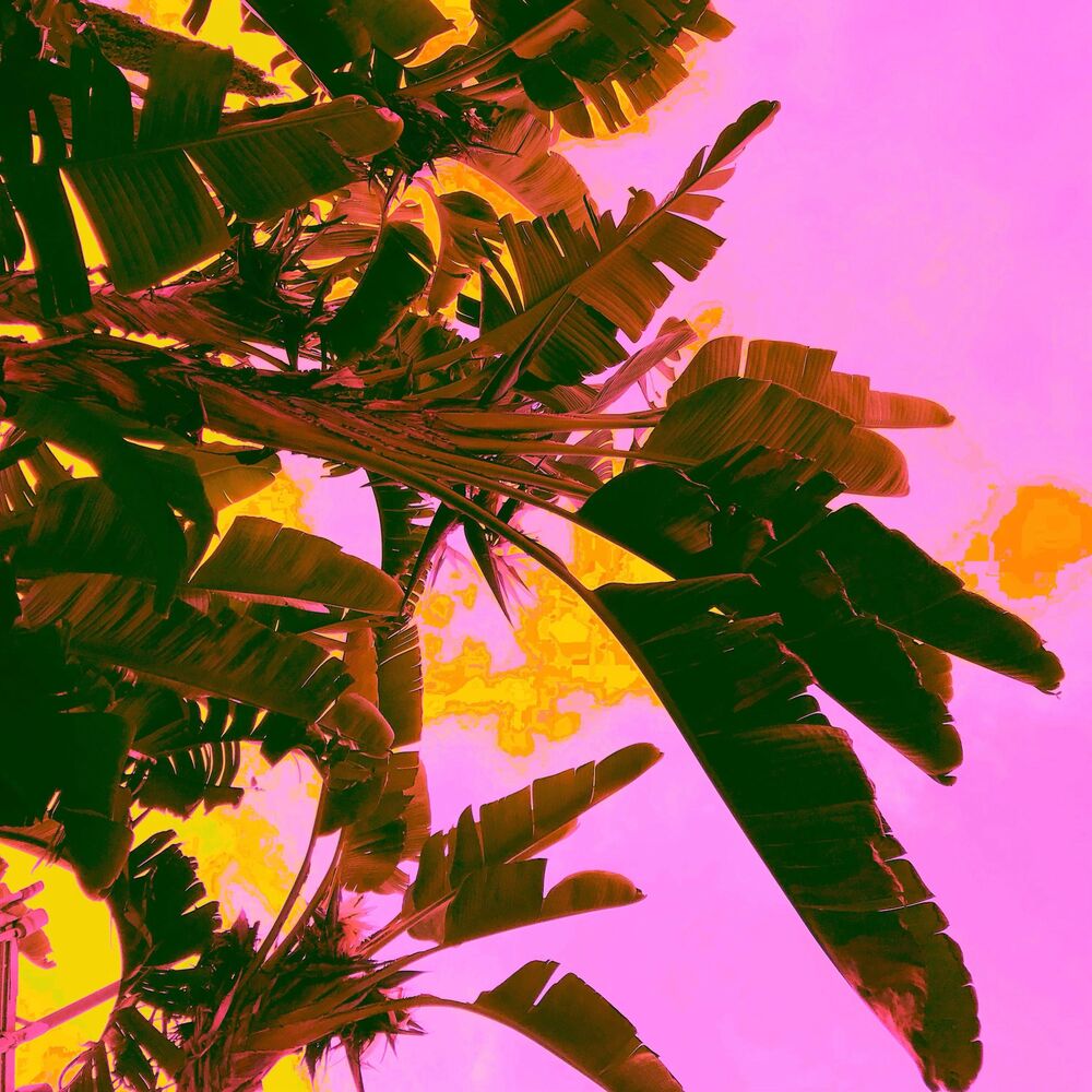 Picture of Paradise
