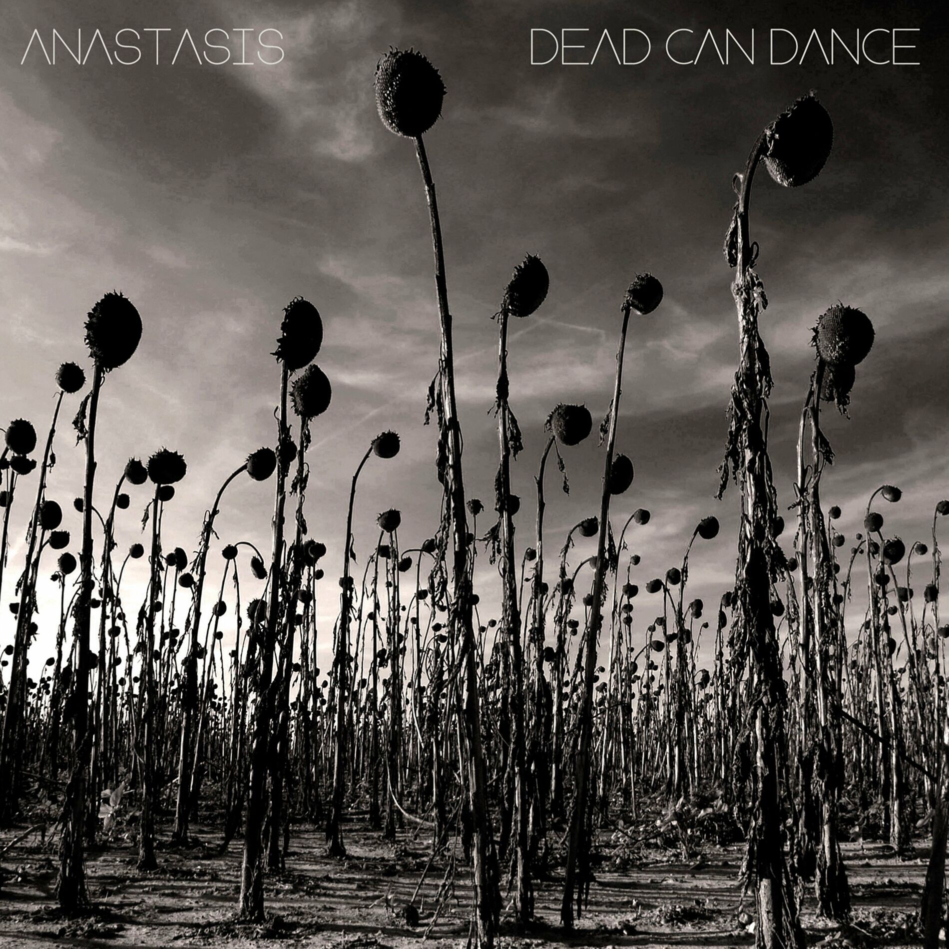 Album cover of Anastasis